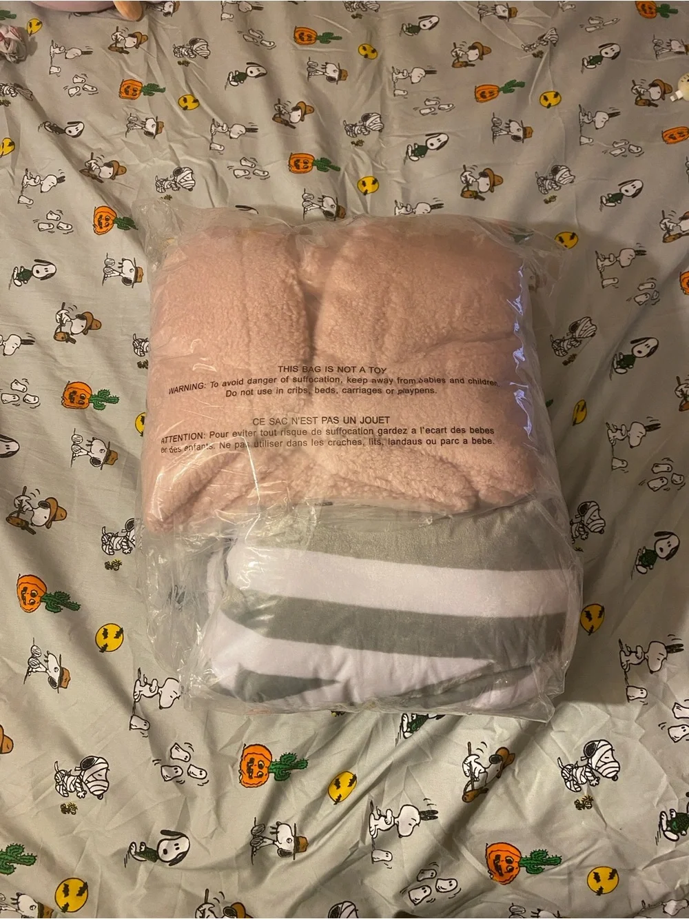 New Victoria’s Secret Pink Tote Bag and Blanket
